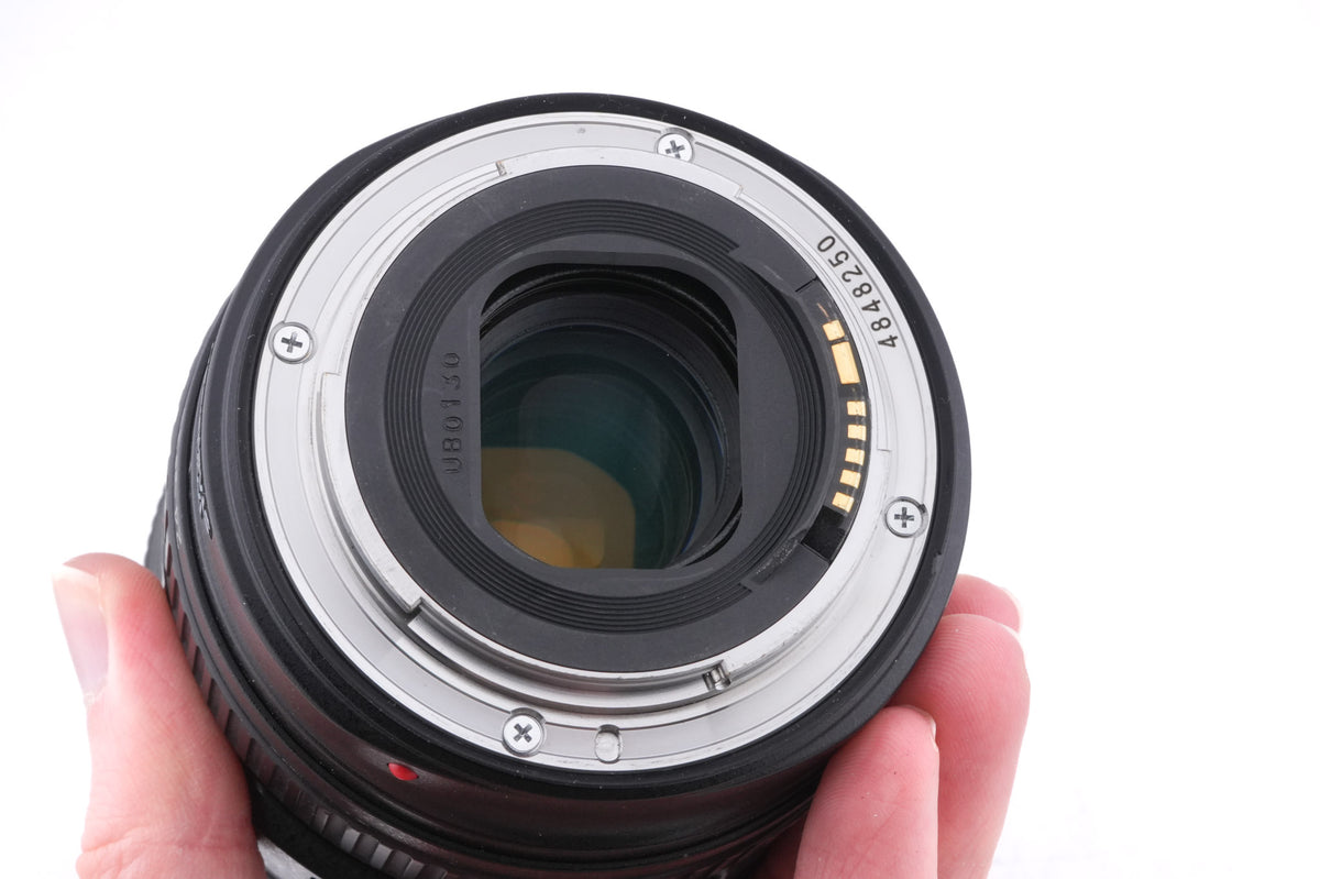 Canon 24-105mm f4 L IS USM