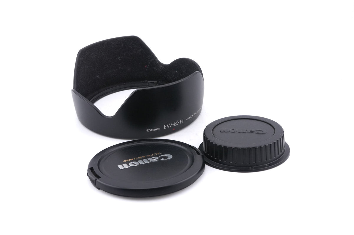 Canon 24-105mm f4 L IS USM