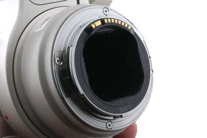 Canon 300mm f4 L IS USM