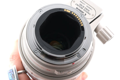 Canon 300mm f4 L IS USM