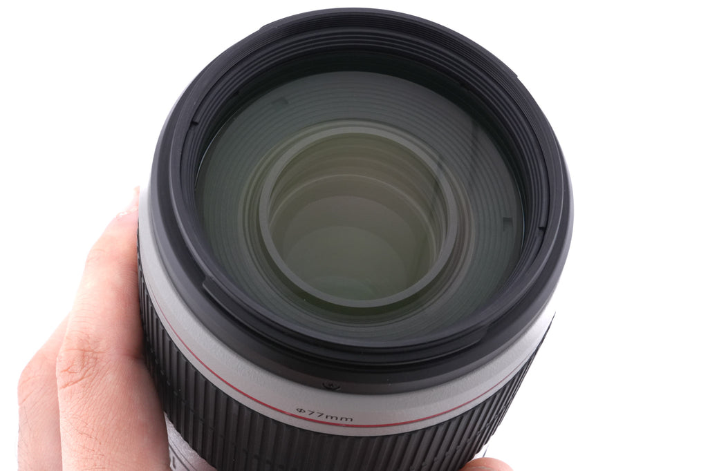 Canon 100-400mm f4.5-5.6 L IS II USM