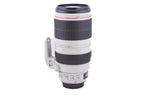 Canon 100-400mm f4.5-5.6 L IS II USM