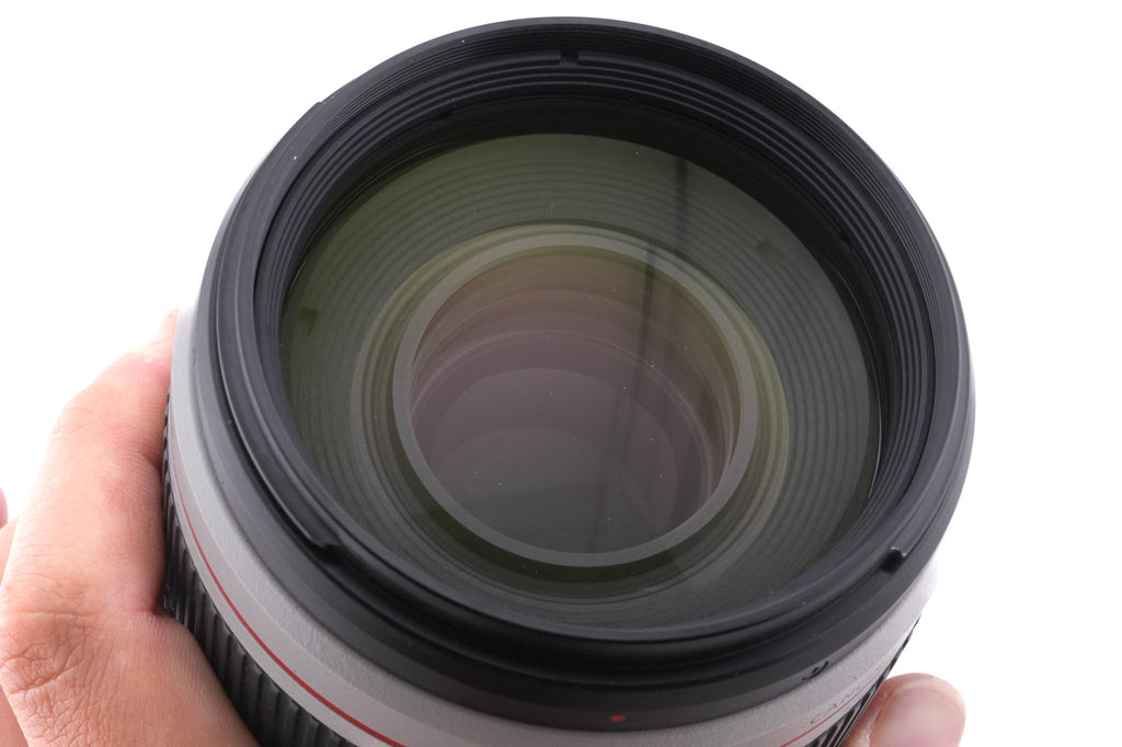 Canon 100-400mm f4.5-5.6 L IS II USM