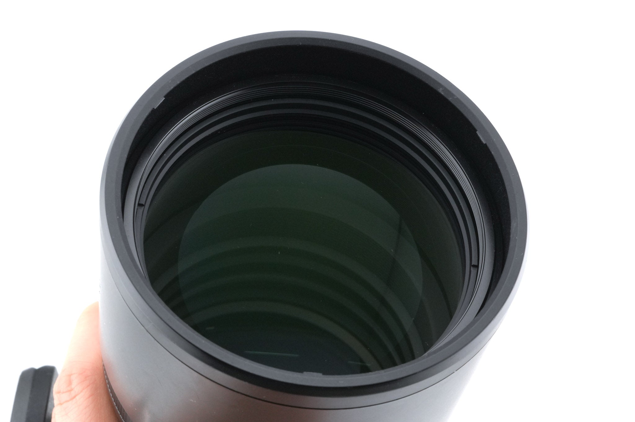 Olympus 300mm f4 M.Zuiko Digital Pro ED IS