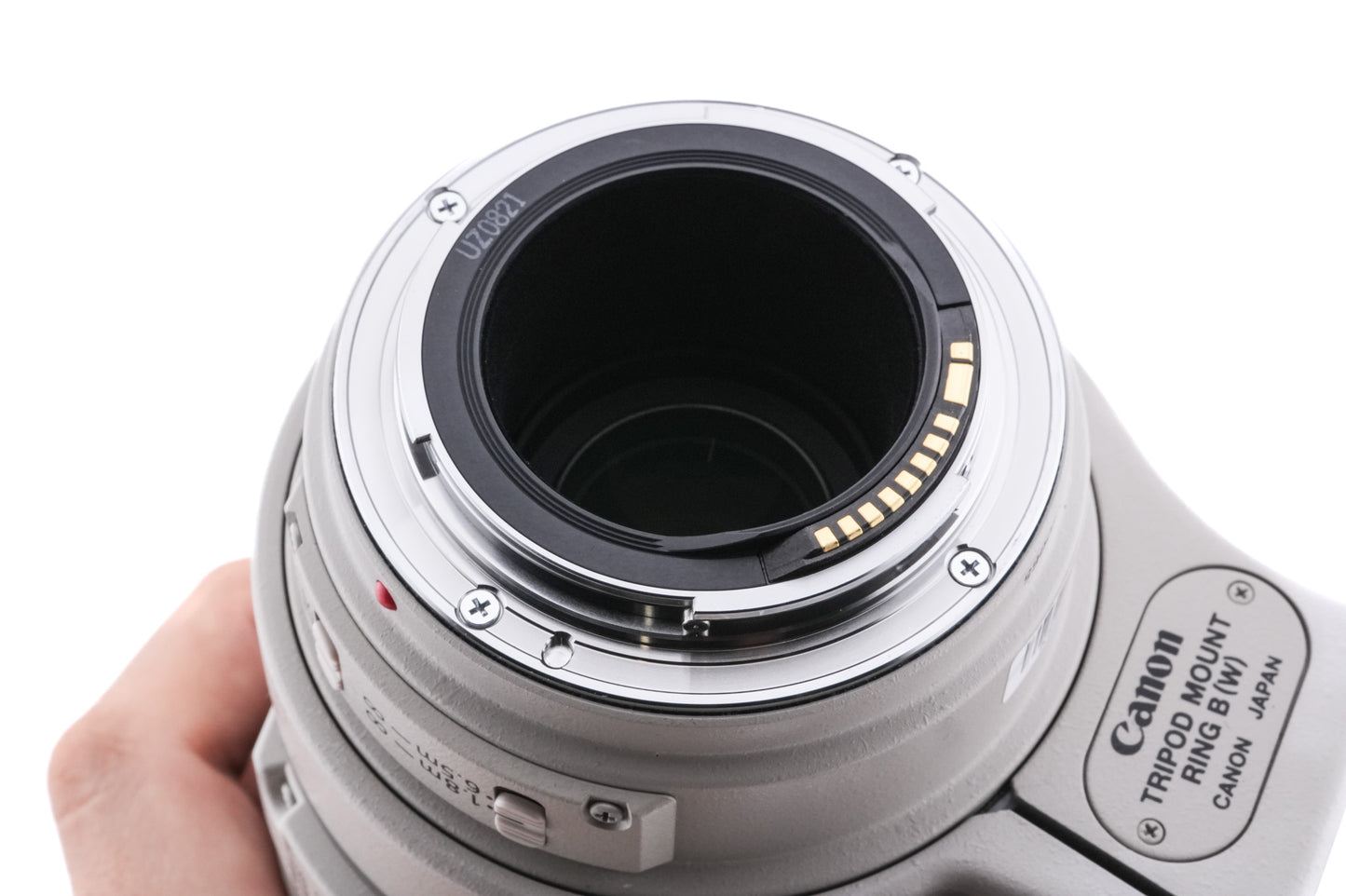 Canon 100-400mm f4.5-5.6 L IS USM