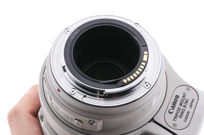 Canon 100-400mm f4.5-5.6 L IS USM