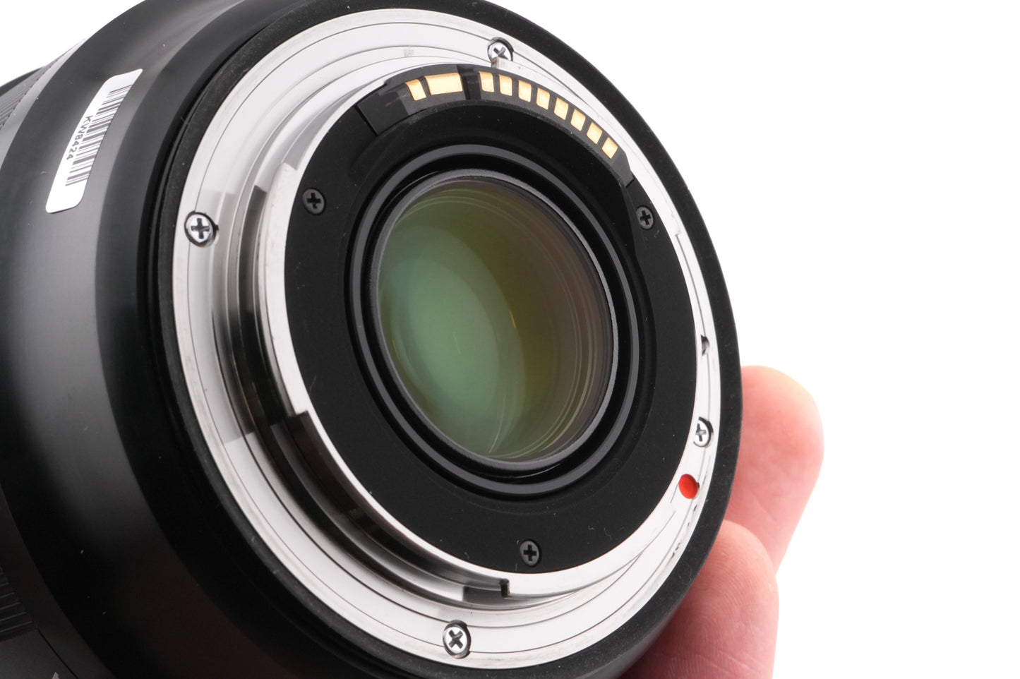 Sigma 24-70mm f2.8 DG OS HSM Art (017)