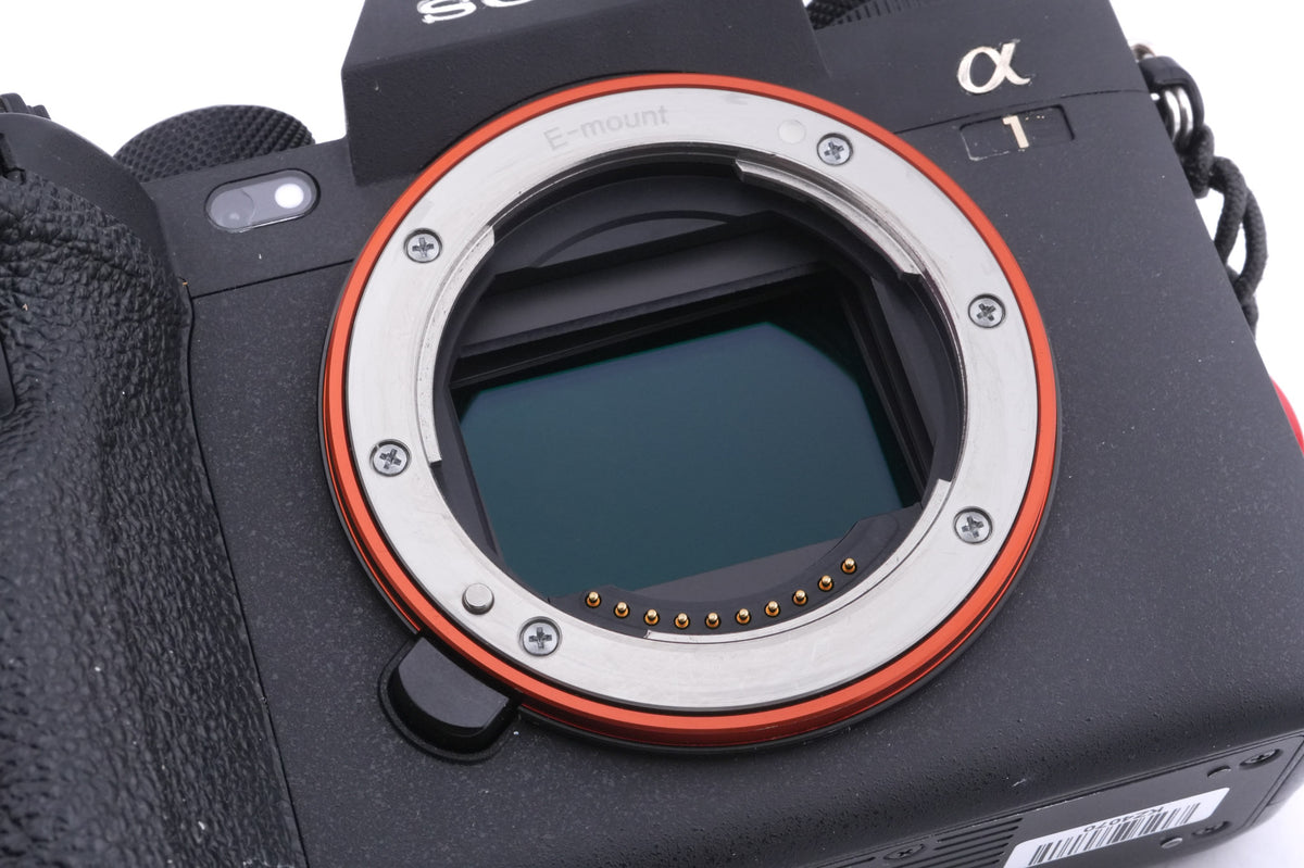 Sony A1