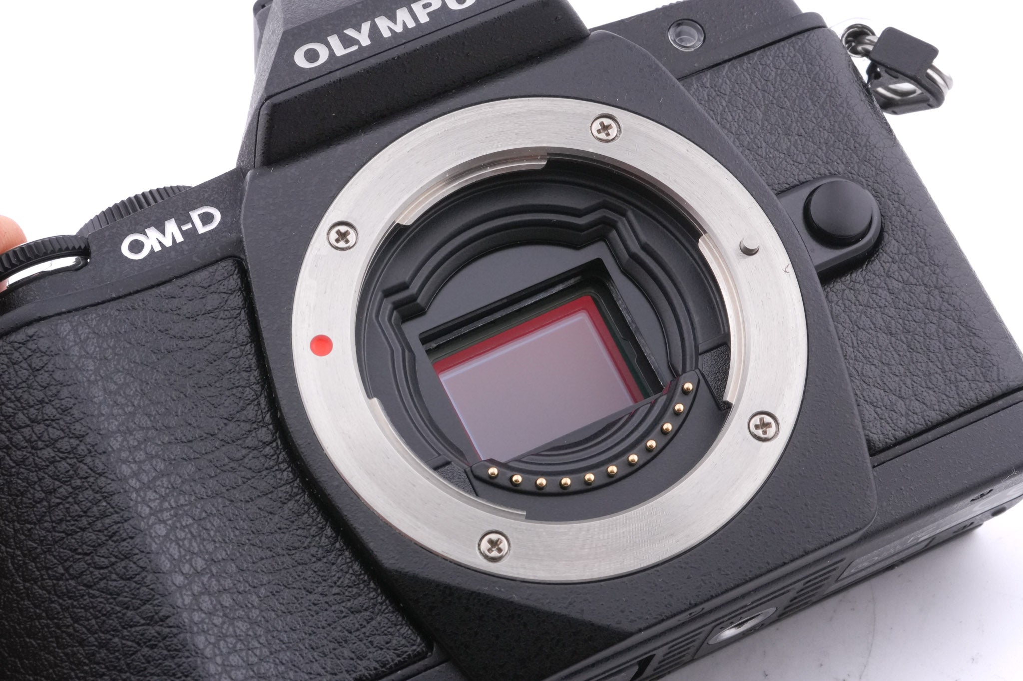 Olympus OM-D E-M5