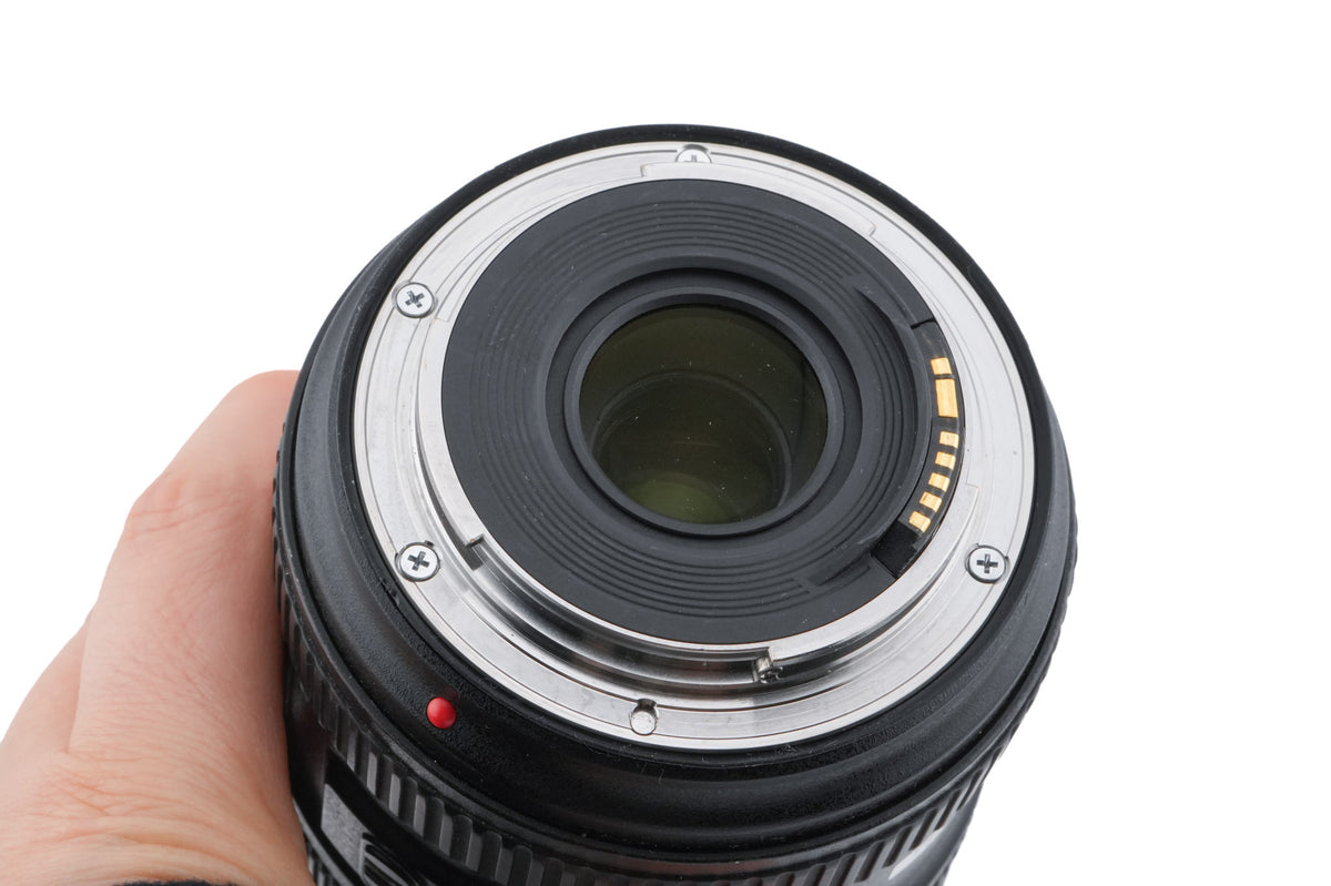 Canon 24-70mm f4 L IS USM