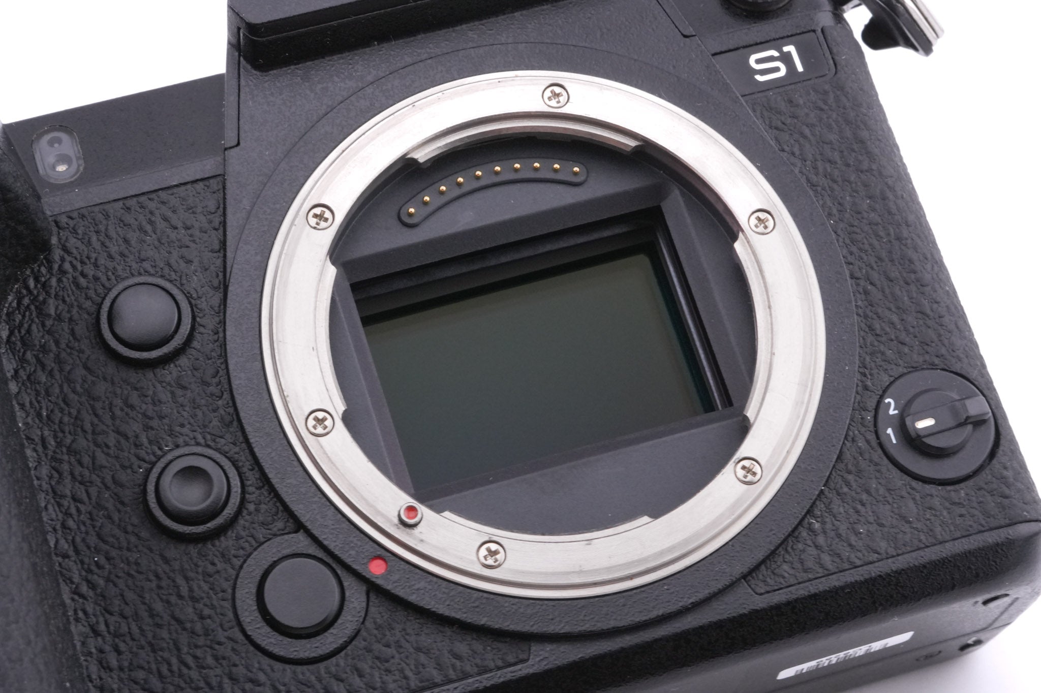Panasonic Lumix DC-S1
