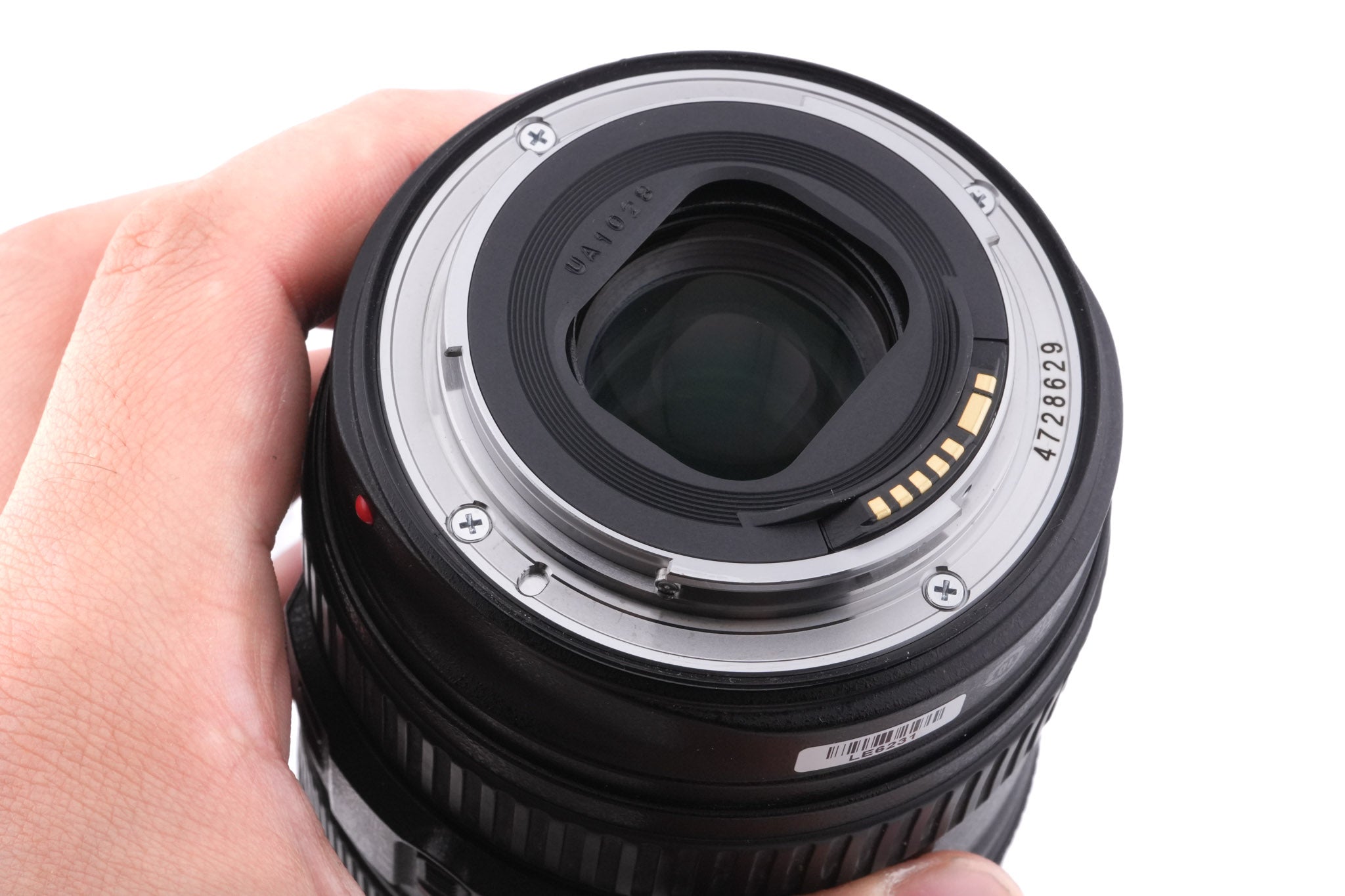 Canon 24-105mm f4 L IS USM