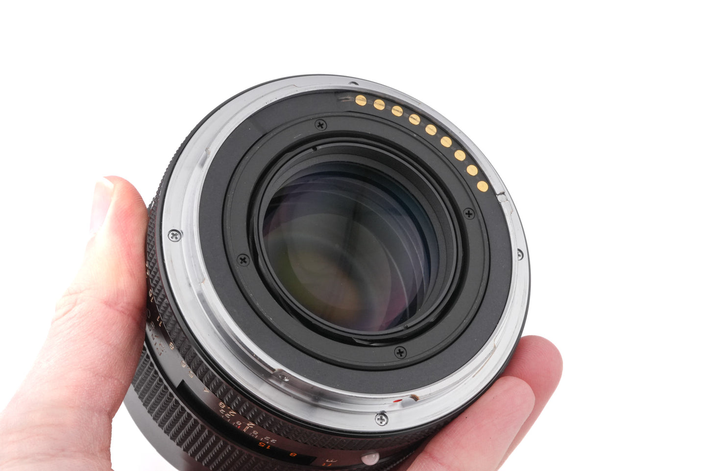 Contax 645 + MFB-1 120/220 Film Back Holder + MF-1 AE Prism Finder + 80mm f2 Planar T*