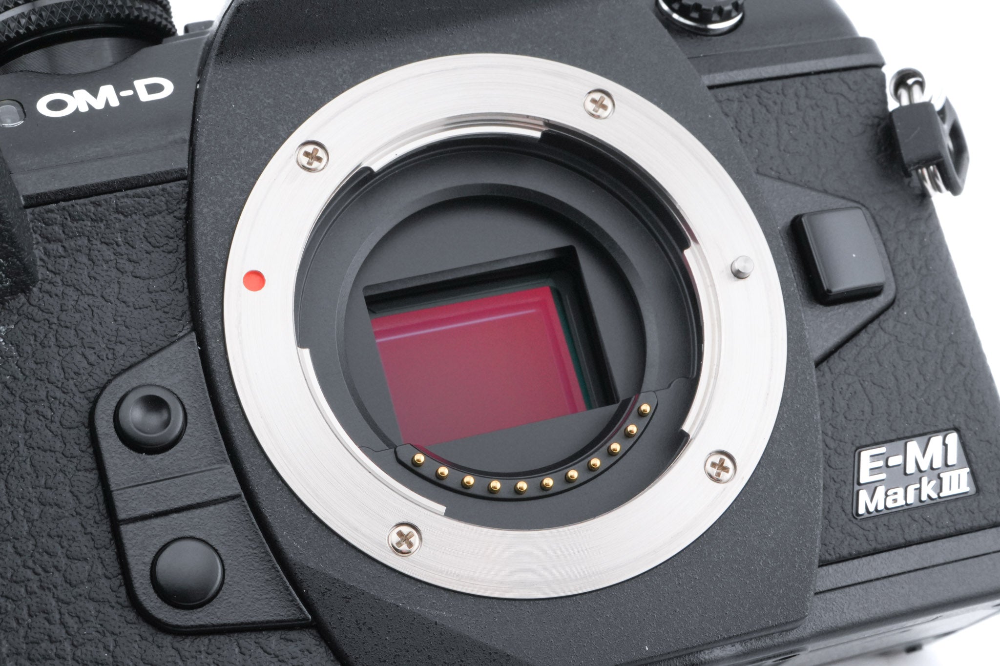 Olympus OM-D E-M1 Mark III
