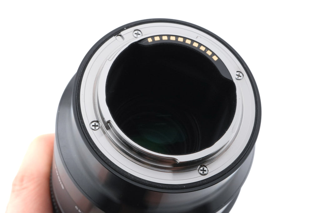 Sigma 70mm f2.8 DG Macro Art (018)