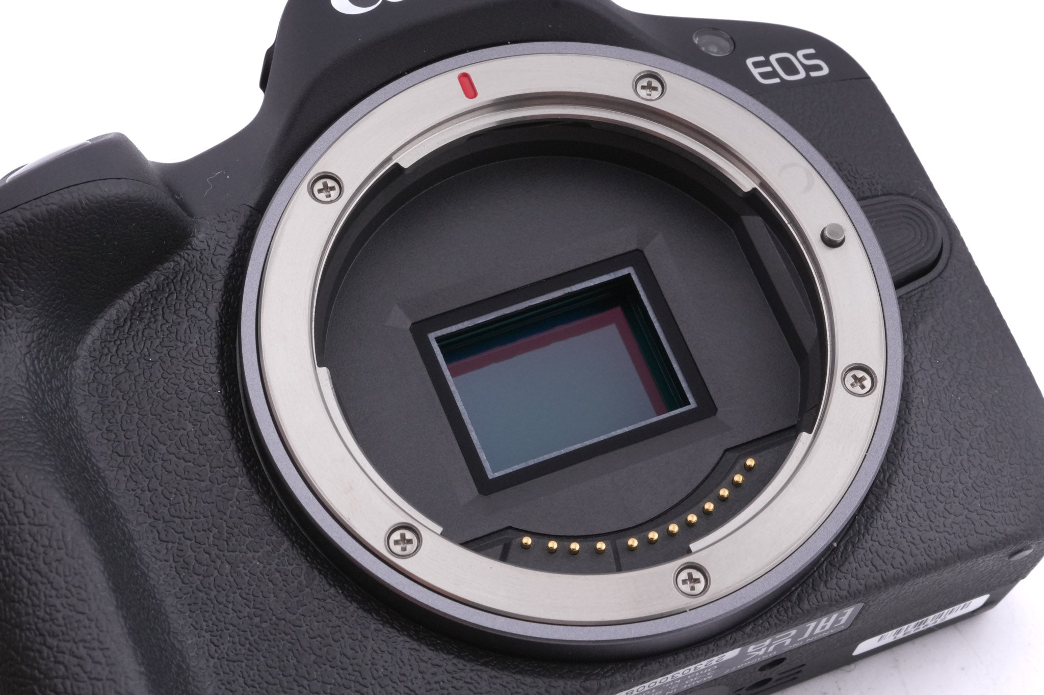 Canon EOS R50