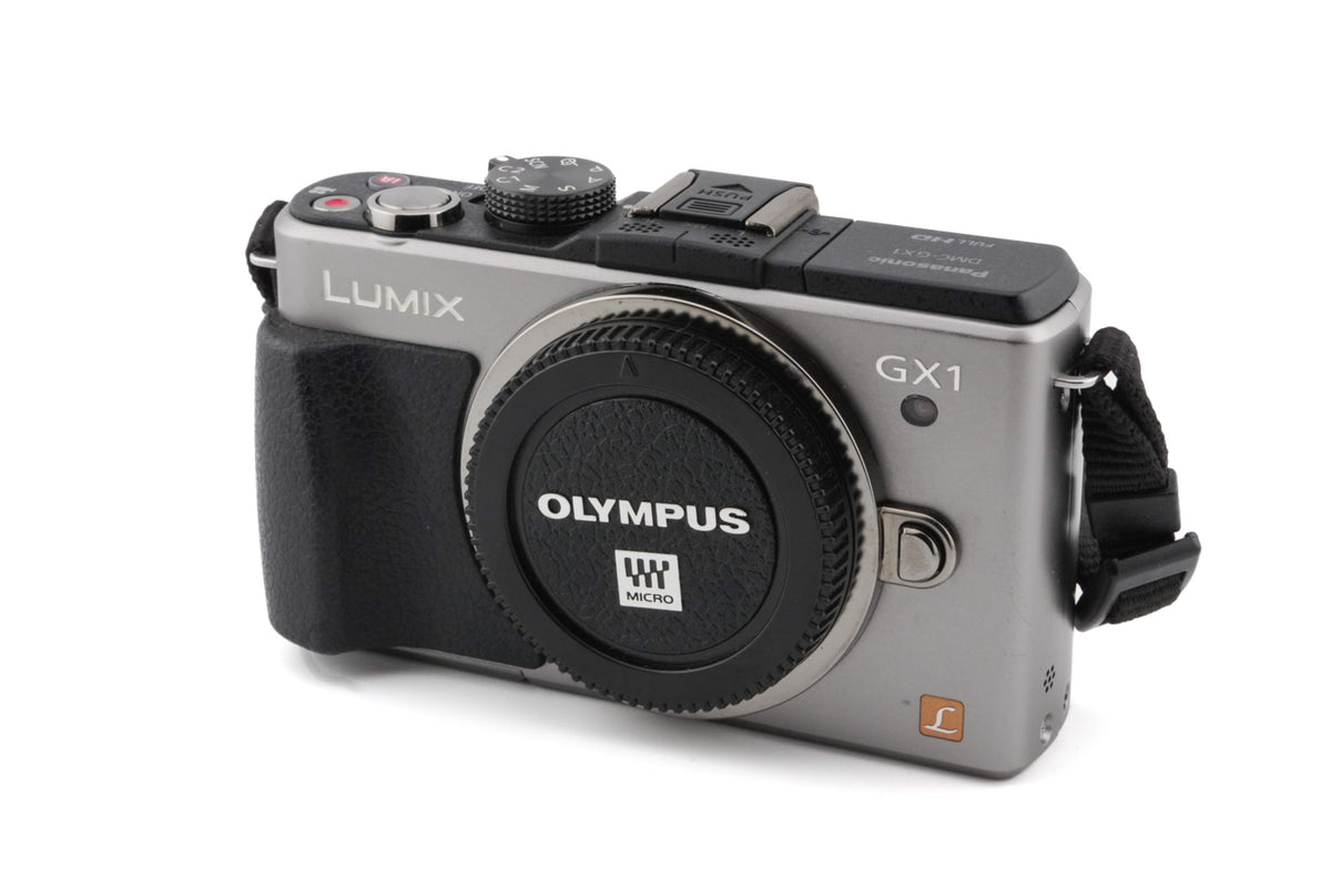 Panasonic Lumix DMC-GX1
