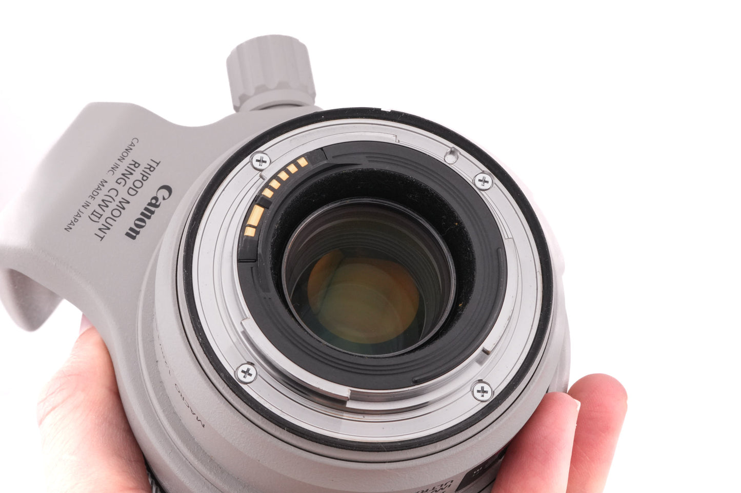 Canon 70-300mm f4-5.6 L IS USM