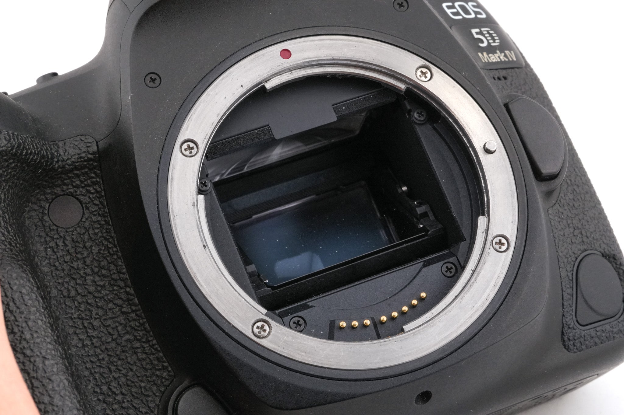 Canon EOS 5D Mark IV