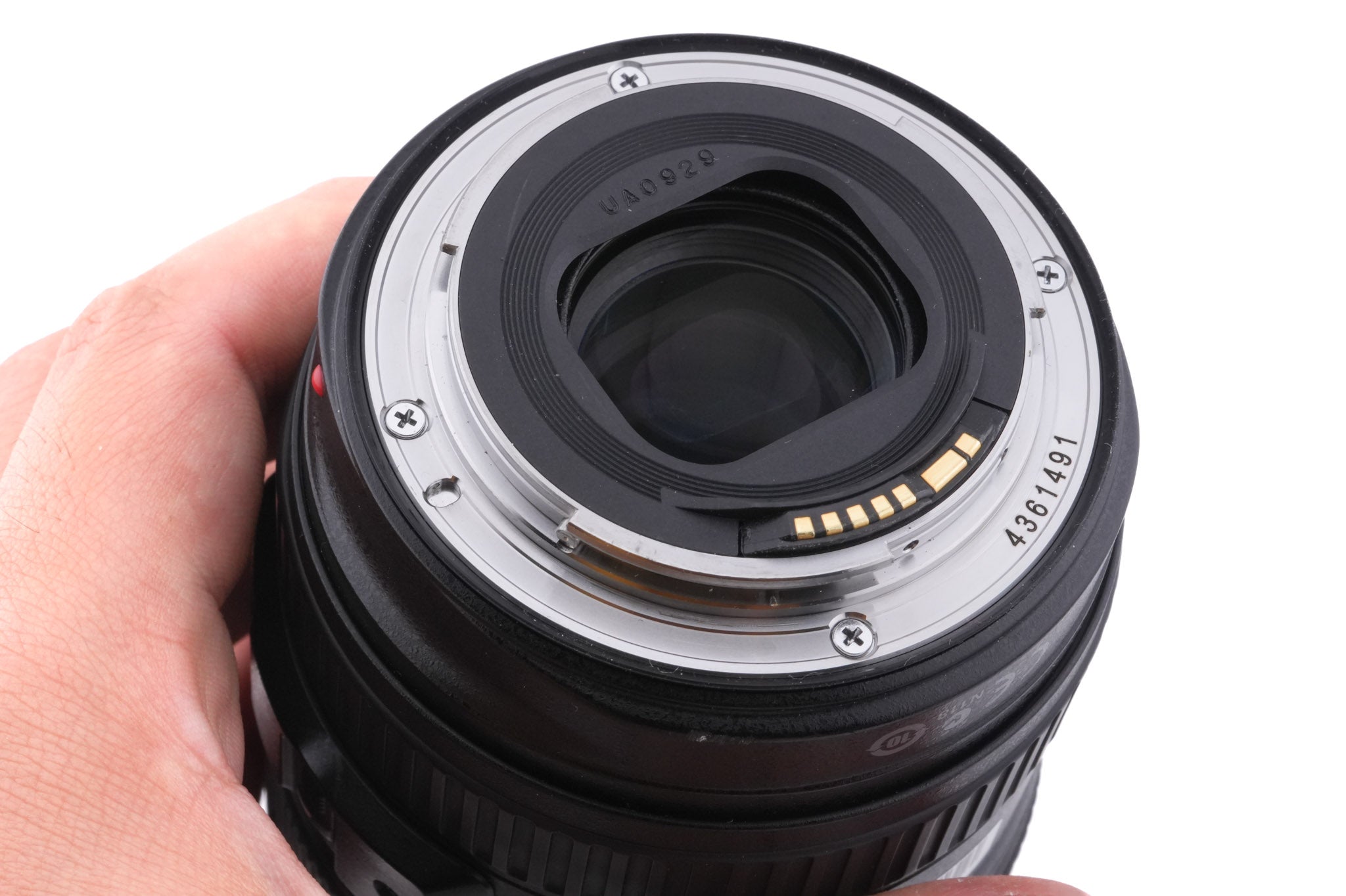 Canon 24-105mm f4 L IS USM