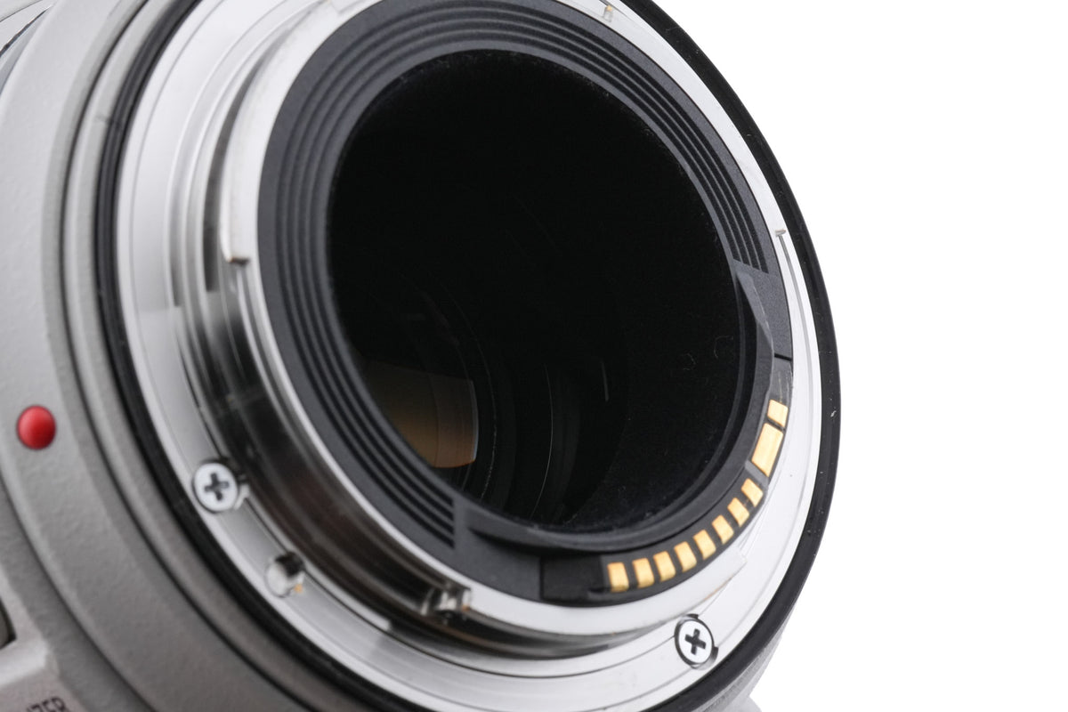Canon 100-400mm f4.5-5.6 L IS II USM