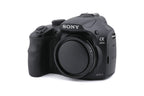 Sony A3000