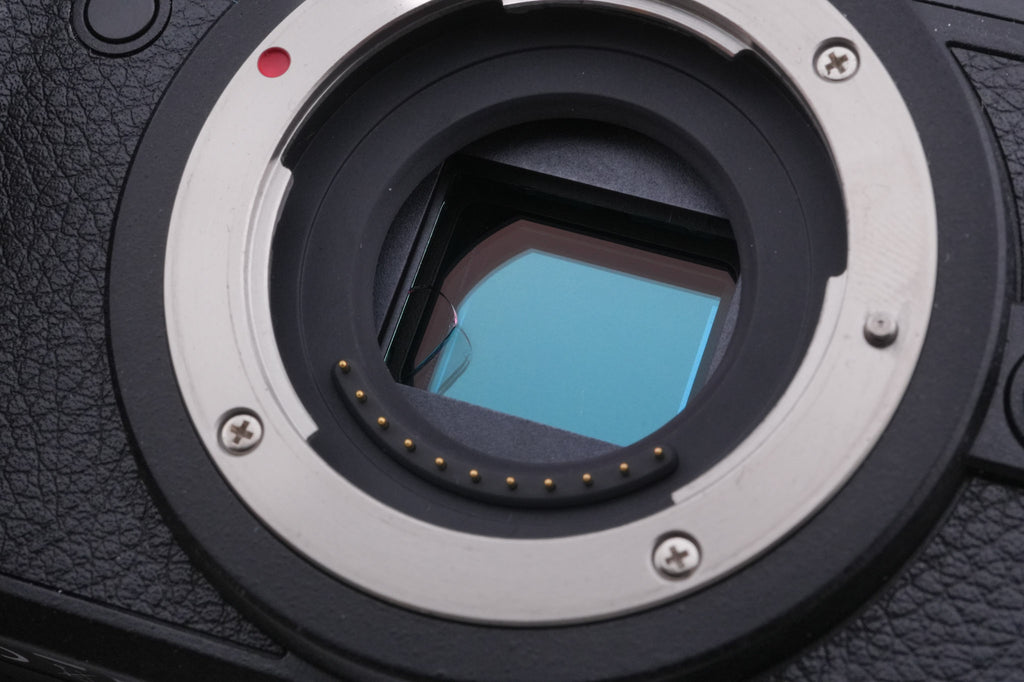 Panasonic Lumix DMC-GX8