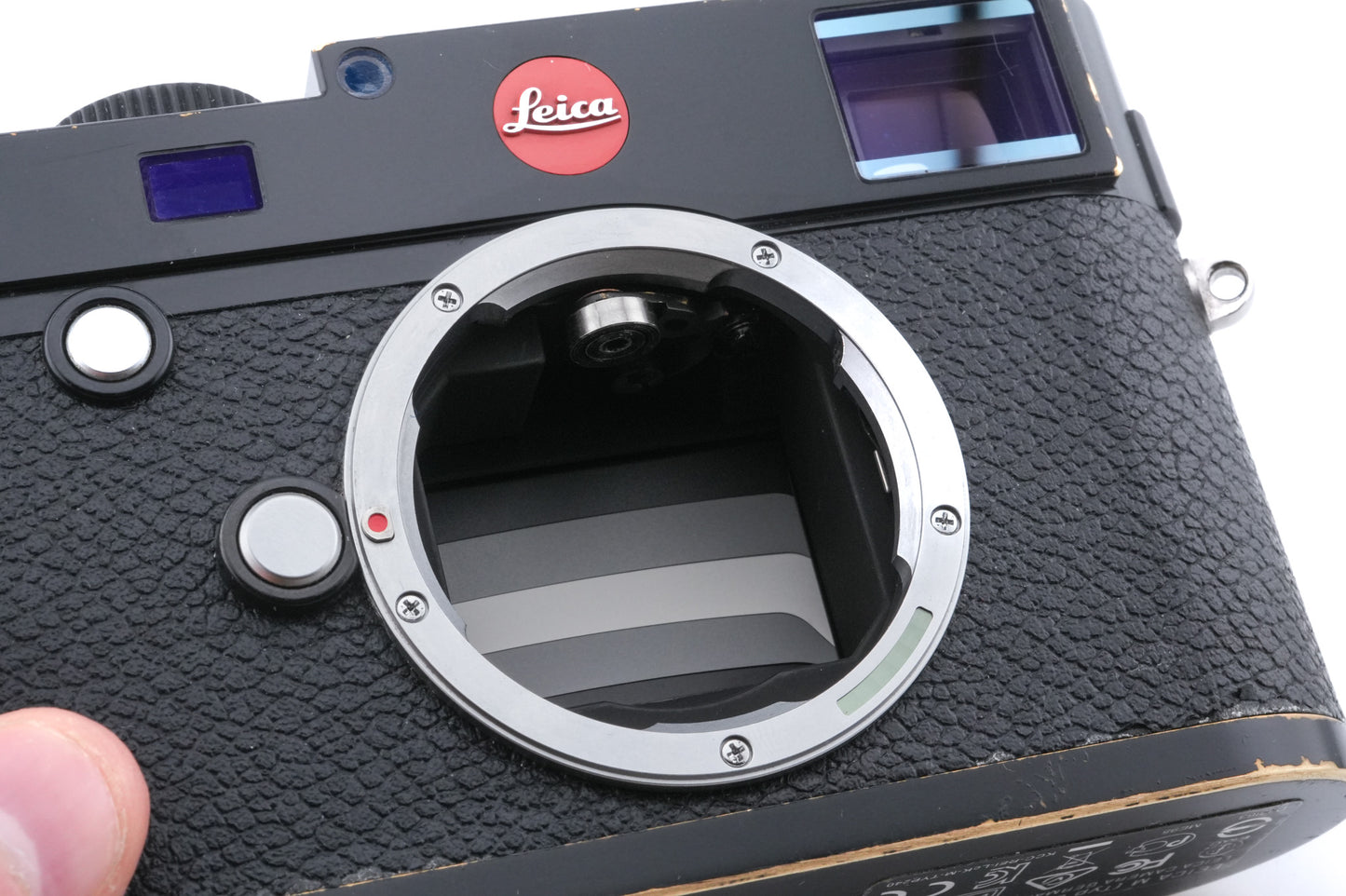 Leica M (Typ 240) (Black Paint, 10770)