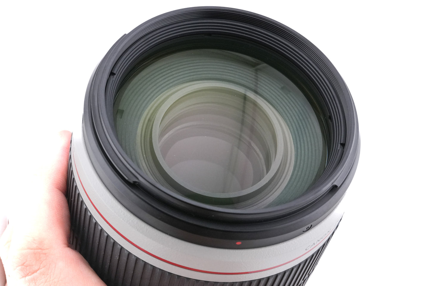 Canon 100-400mm f4.5-5.6 L IS II USM