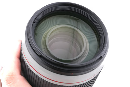 Canon 100-400mm f4.5-5.6 L IS II USM