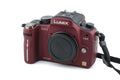Panasonic Lumix DMC-GH1