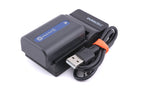 Sony Handycam DCR-PC110E