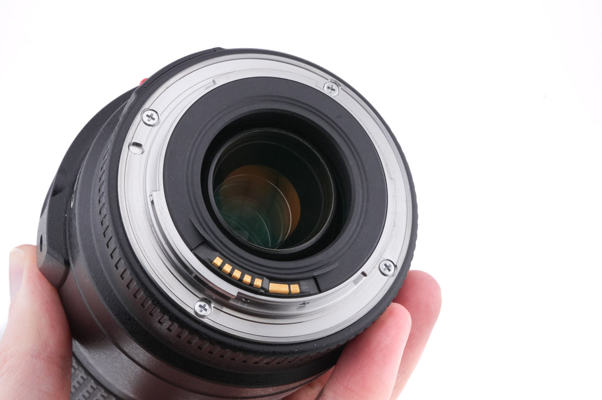 Canon 70-300mm f4-5.6 IS USM