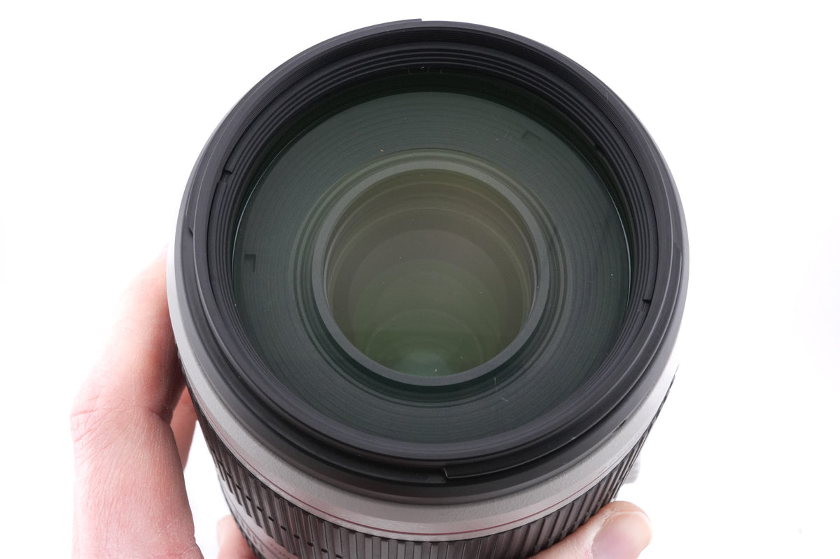 Canon 100-400mm f4.5-5.6 L IS II USM