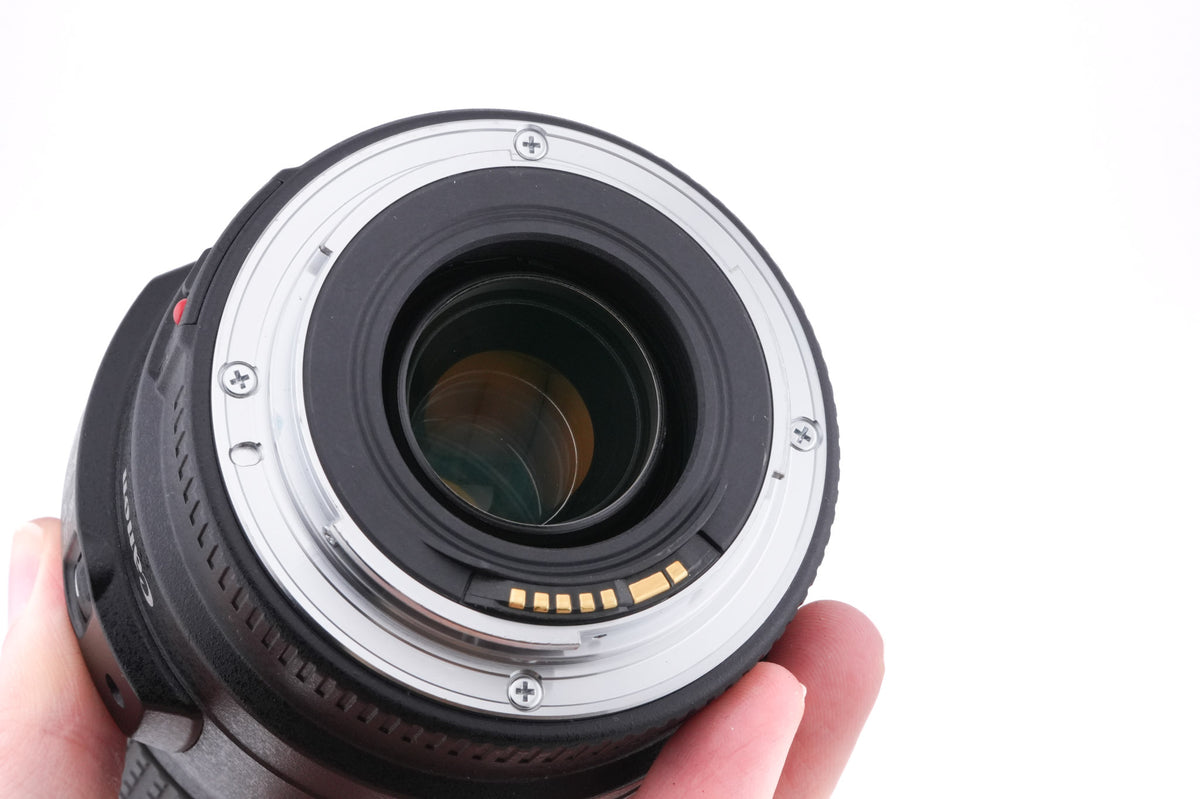 Canon 70-300mm f4-5.6 IS USM