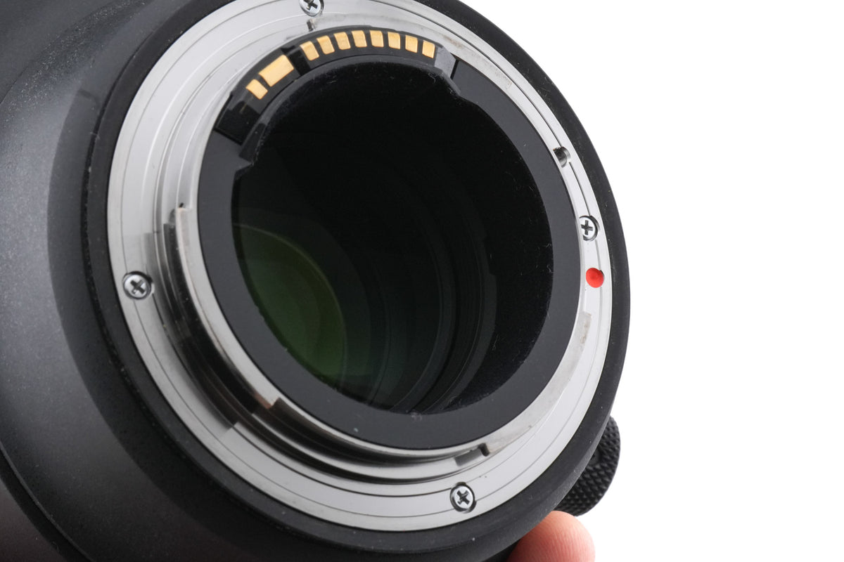 Sigma 70-200mm f2.8 DG OS HSM Sports (018)