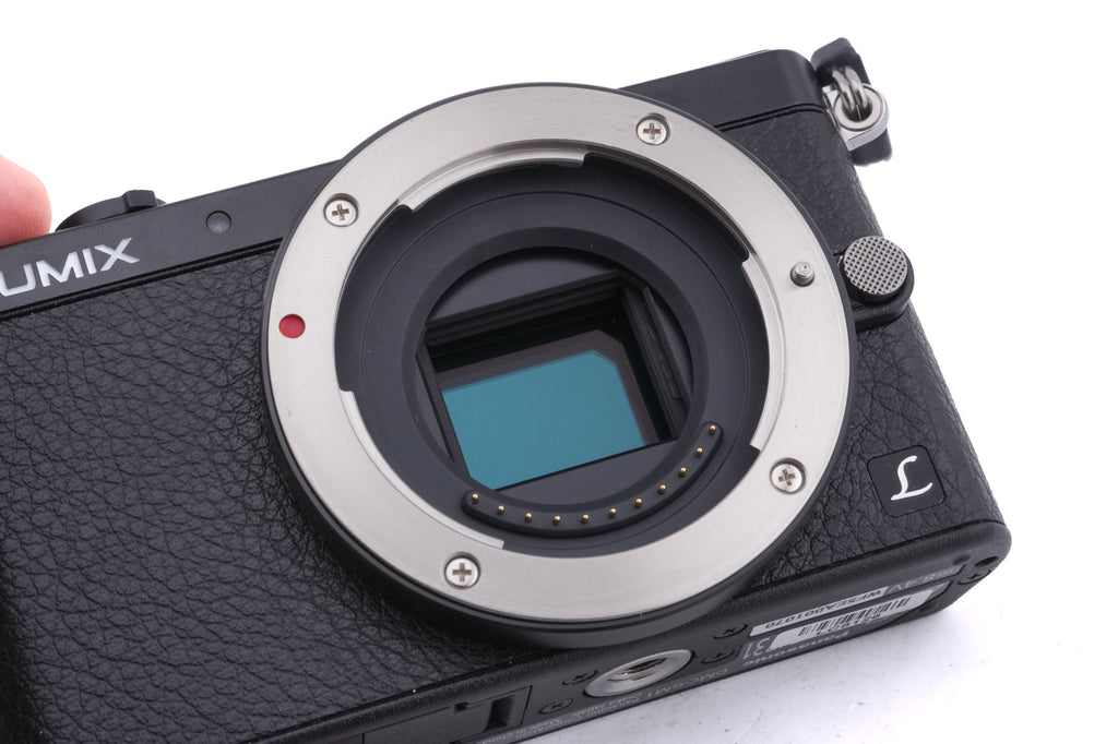 Panasonic Lumix DMC-GM1