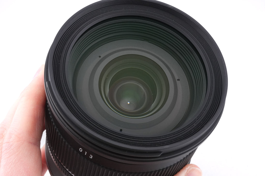 Sigma 24-105mm f4 DG OS HSM Art (013)