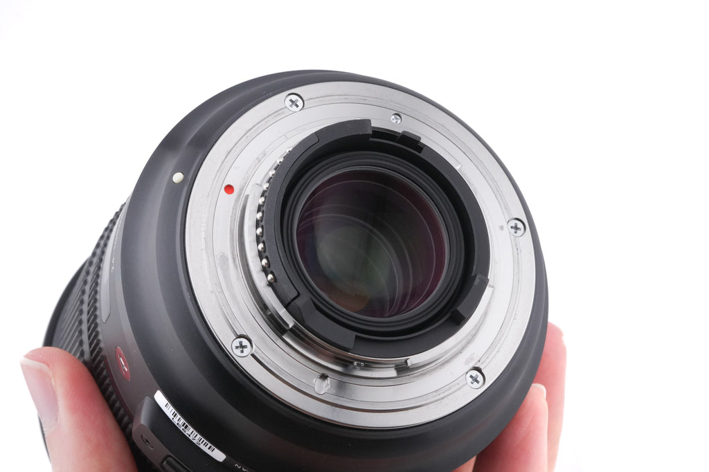 Sigma 24-105mm f4 DG OS HSM Art (013)