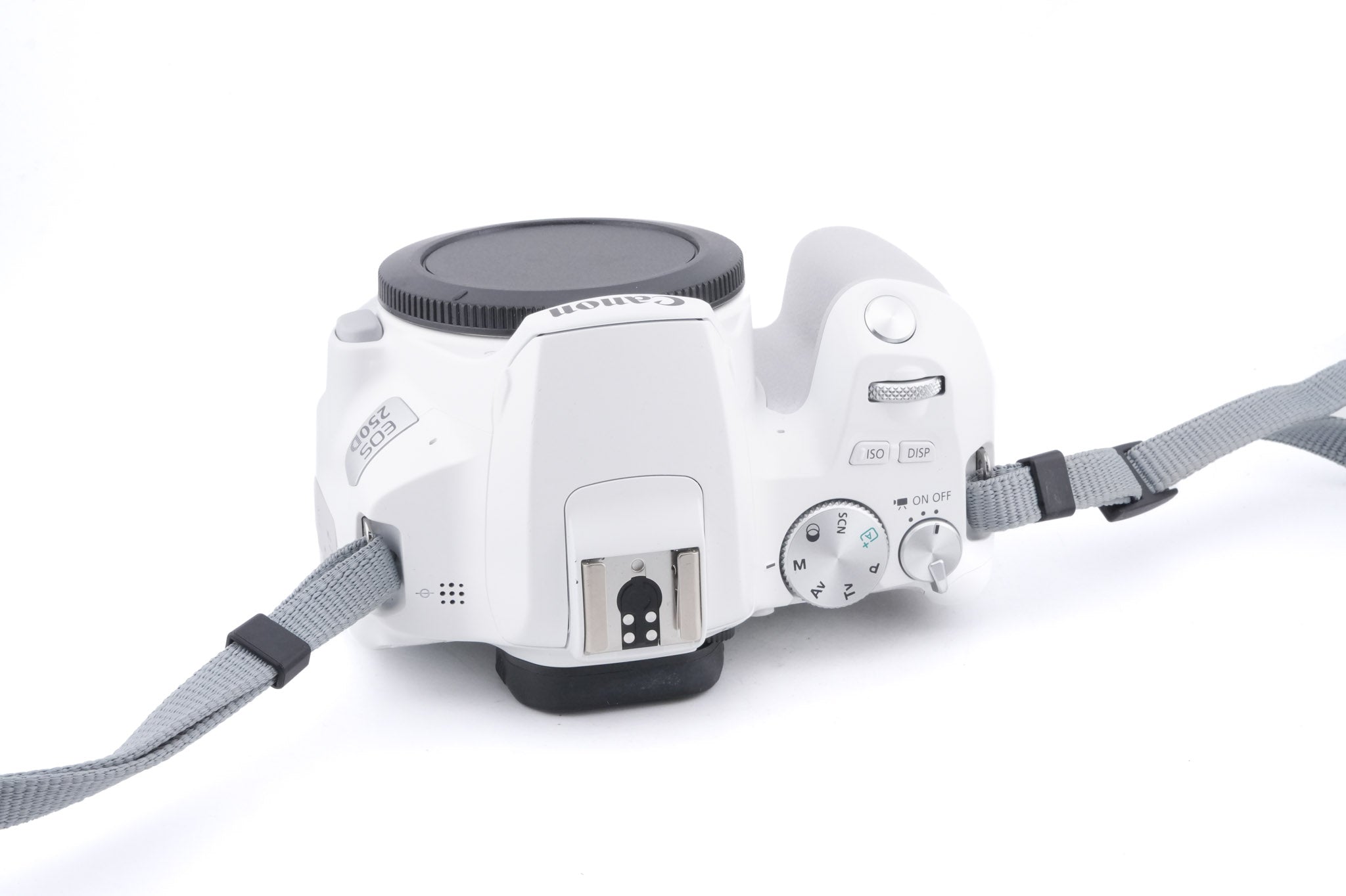 Canon EOS 250D