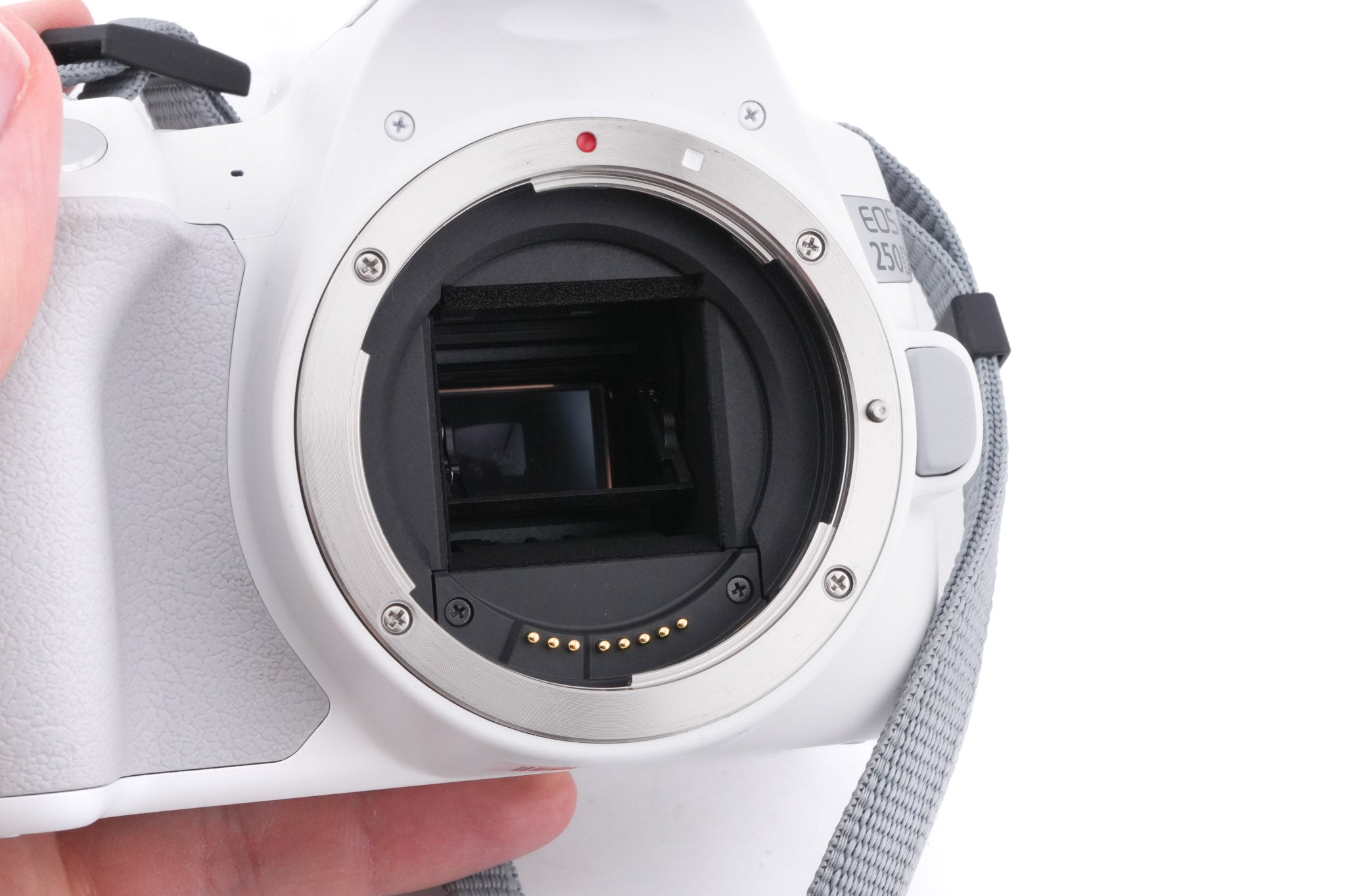 Canon EOS 250D