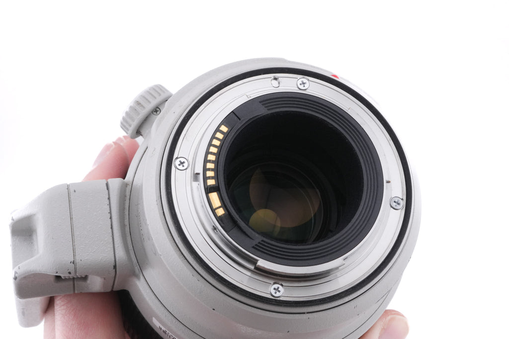 Canon 100-400mm f4.5-5.6 L IS II USM