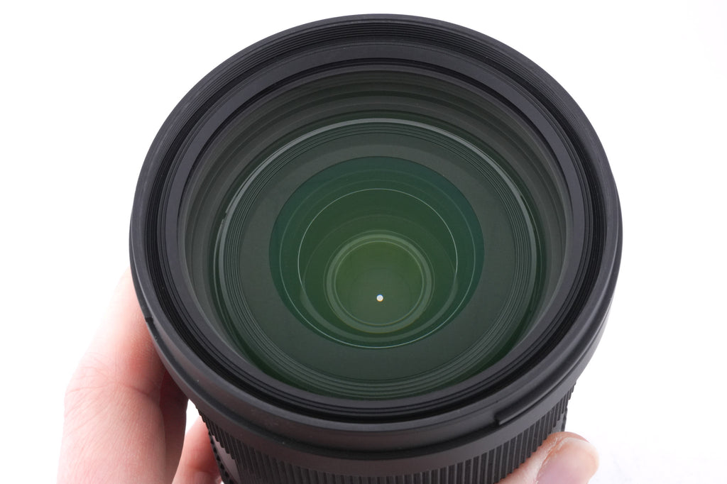 Sigma 24-70mm f2.8 DG DN Art (019)