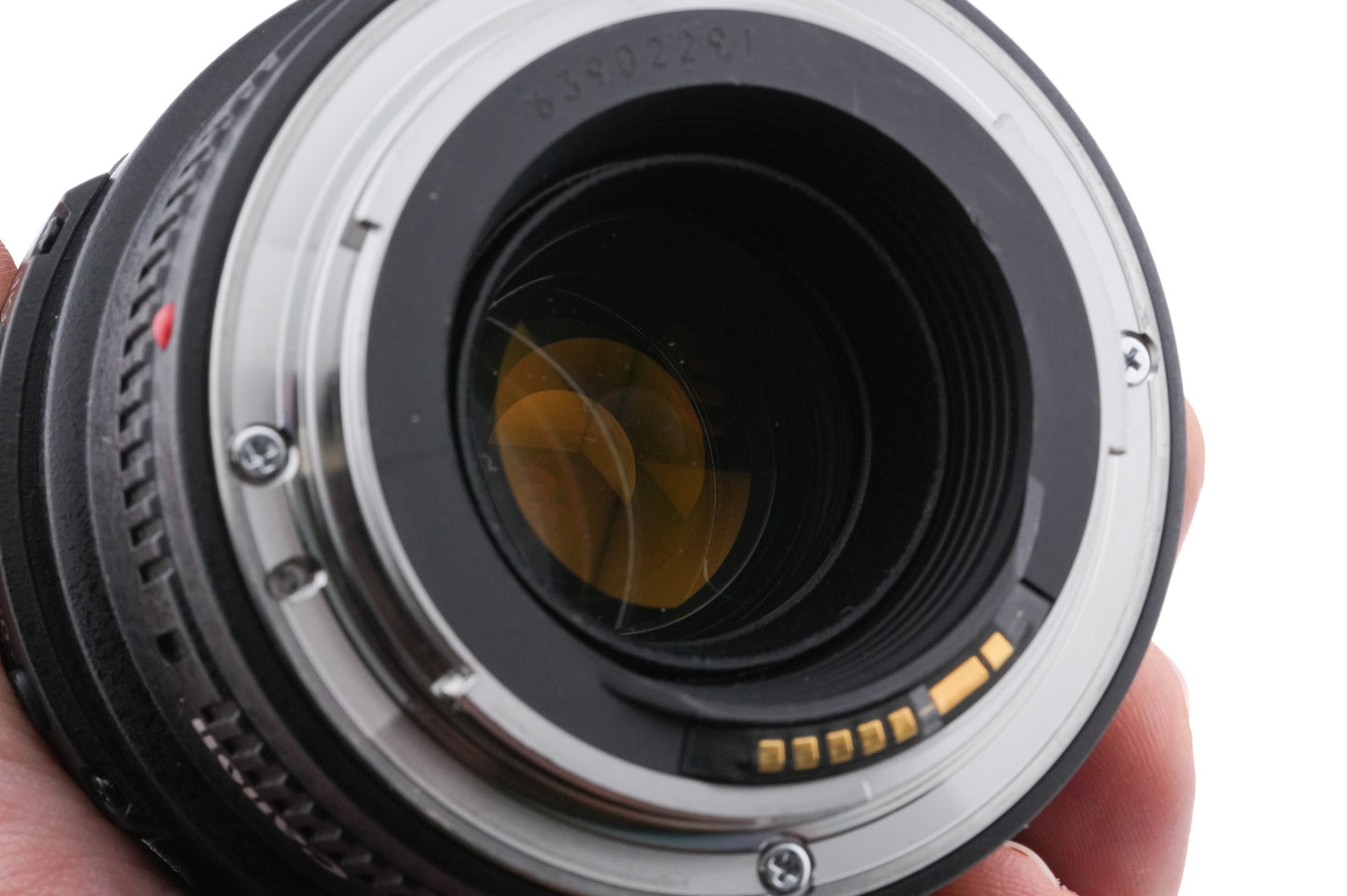 Canon 100mm f2.8 Macro USM