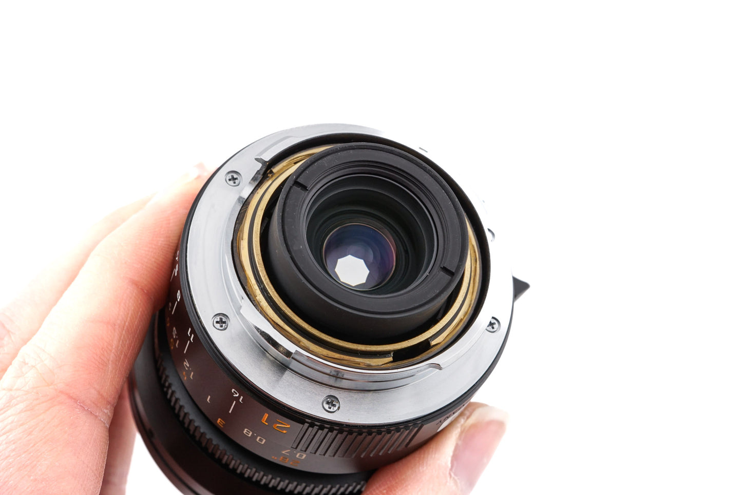 Leica 21mm f2.8 Elmarit-M ASPH. (11135) + Lens Hood (12592)