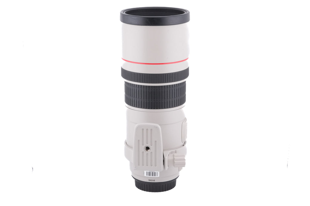 Canon 300mm f4 L IS USM
