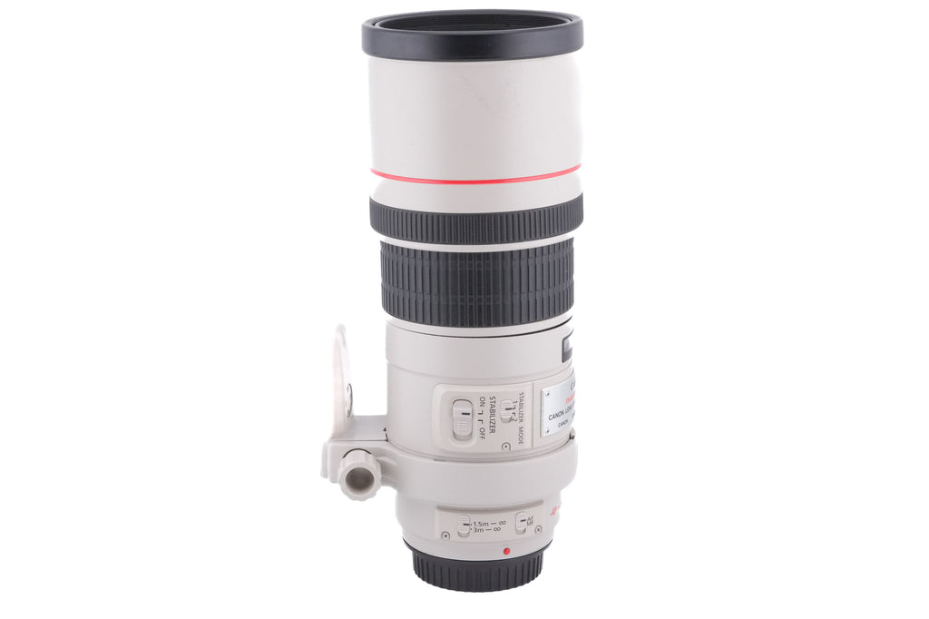 Canon 300mm f4 L IS USM