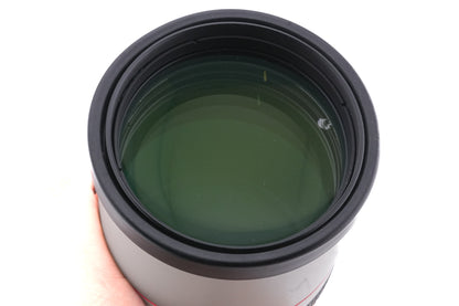 Canon 300mm f4 L IS USM