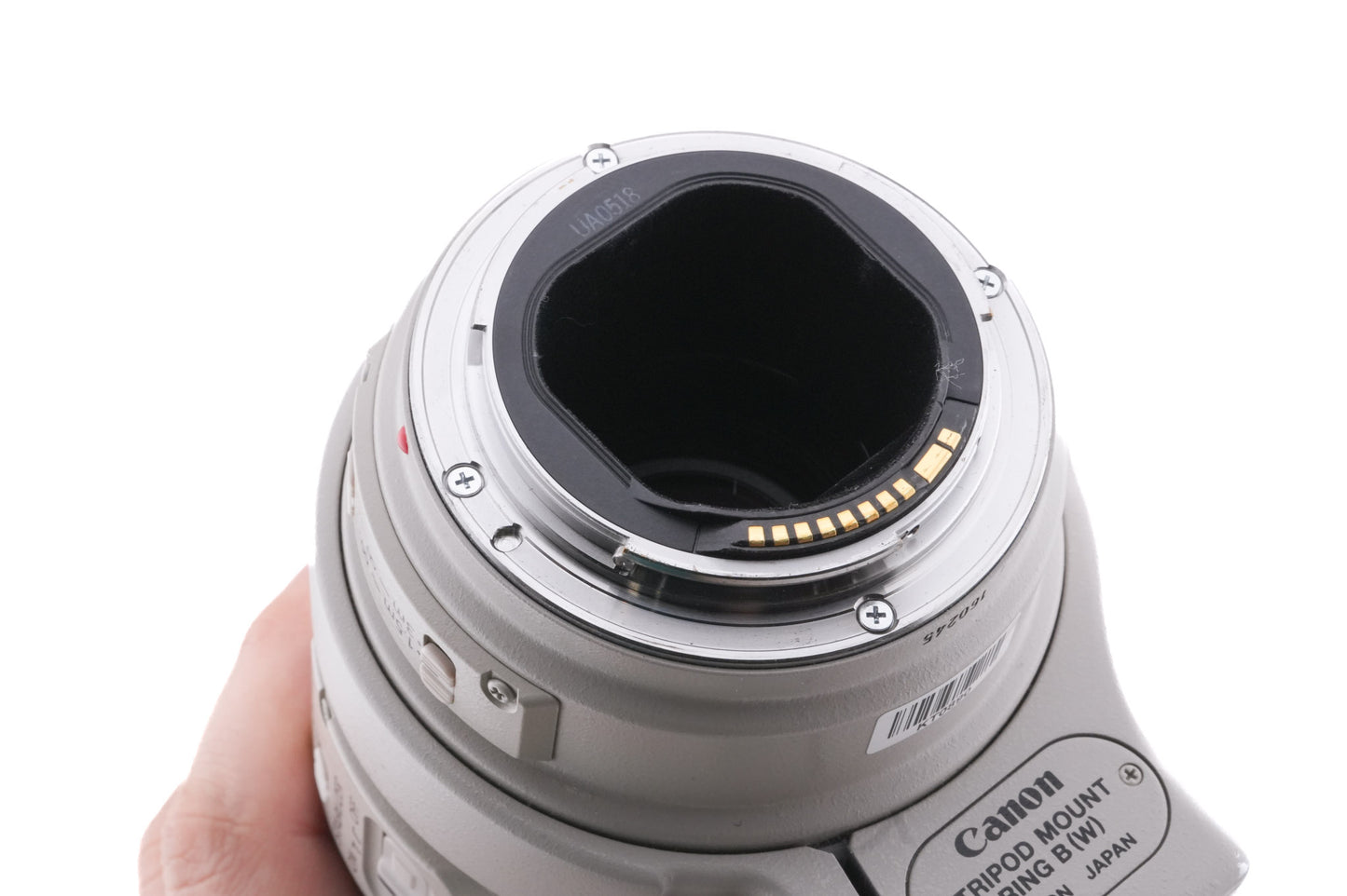 Canon 300mm f4 L IS USM