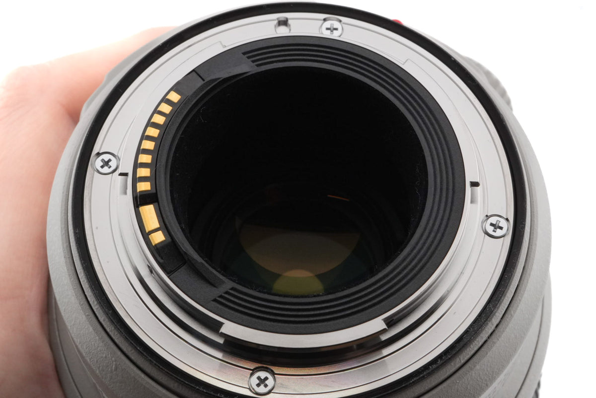 Canon 100-400mm f4.5-5.6 L IS II USM